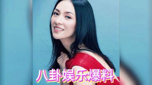 刺猬明星娱乐网吃瓜