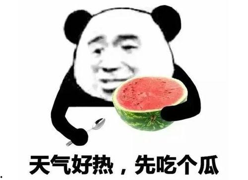 吃瓜表情包小图